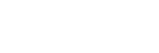 taxwise logo - branding
